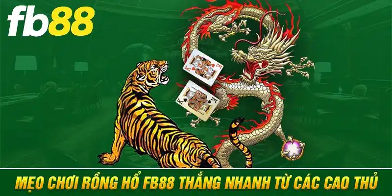 Mẹo chơi Rồng Hổ FB88 thắng nhanh từ các cao thủ