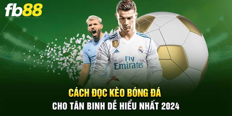 Cách đọc kèo bóng đá cho tân binh dễ hiểu nhất 2024