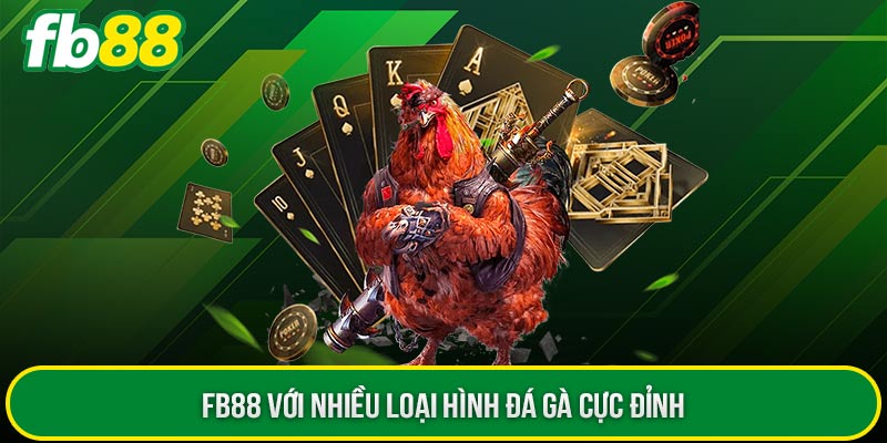 FB88 với nhiều loại hình đá gà cực đỉnh