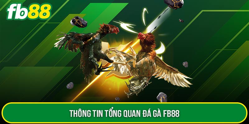 Thông tin tổng quan đá gà FB88