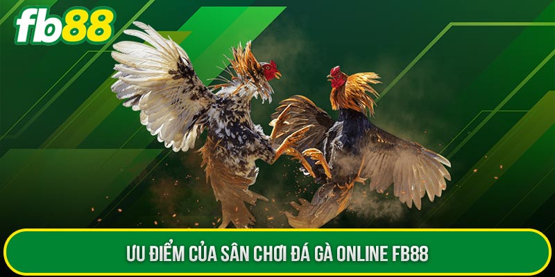 Ưu điểm của sân chơi đá gà online FB88