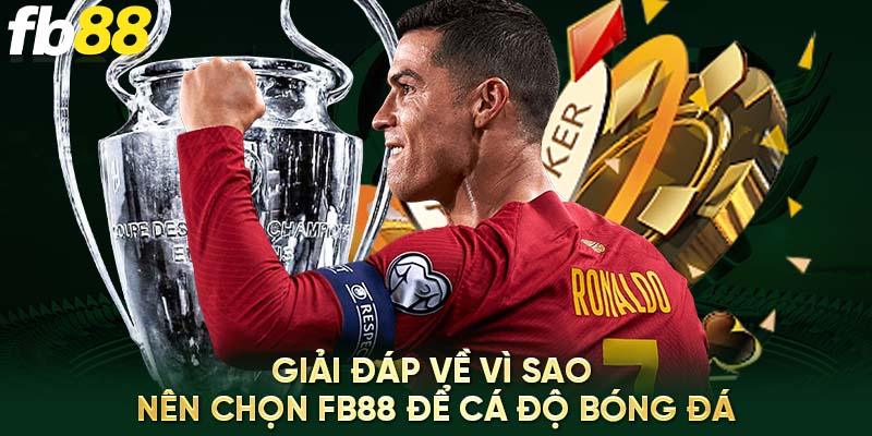 Giải đáp về vì sao nên chọn Fb88 để cá độ bóng đá